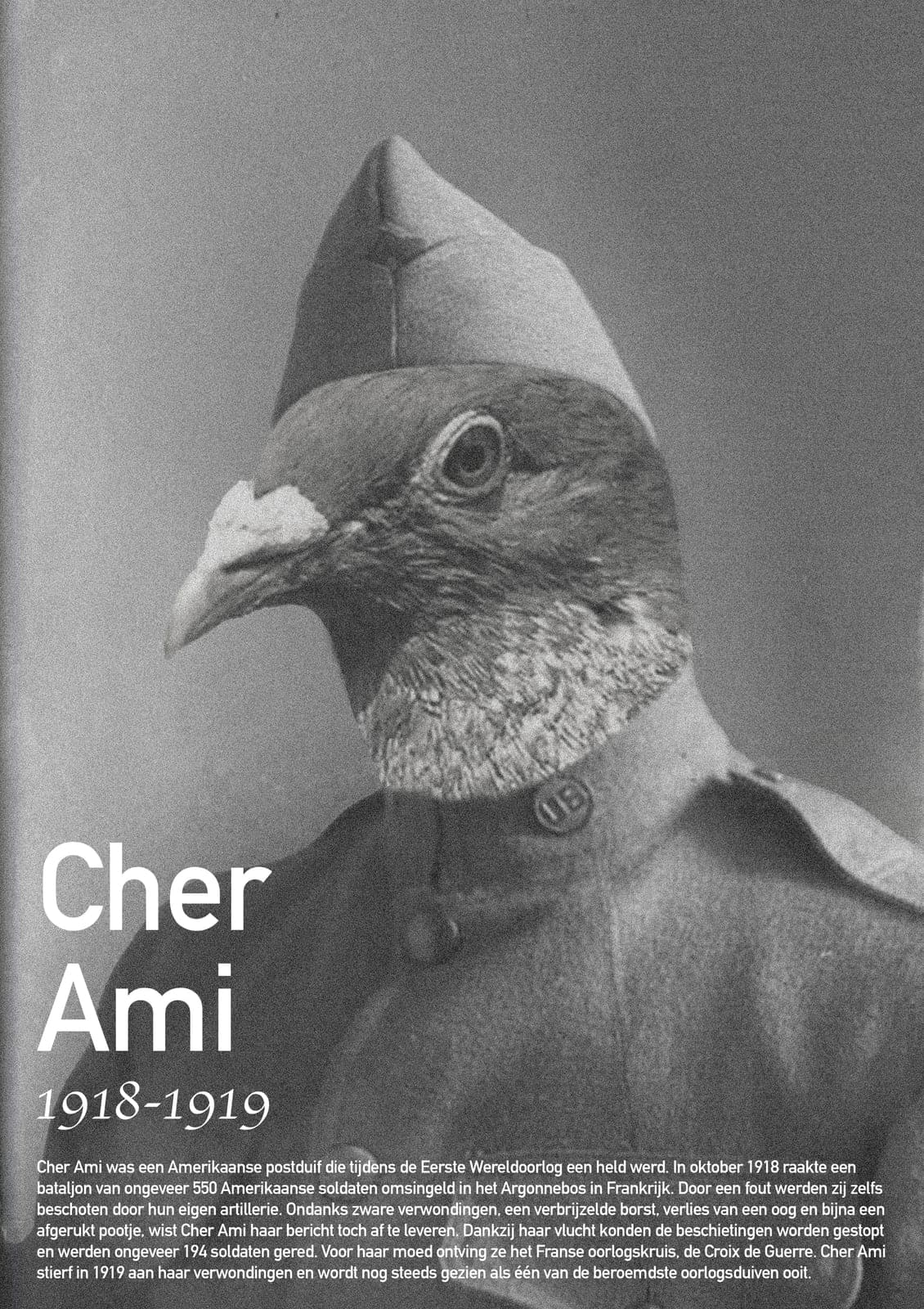 Cher Ami, decorated WWI messenger pigeon, in uniform