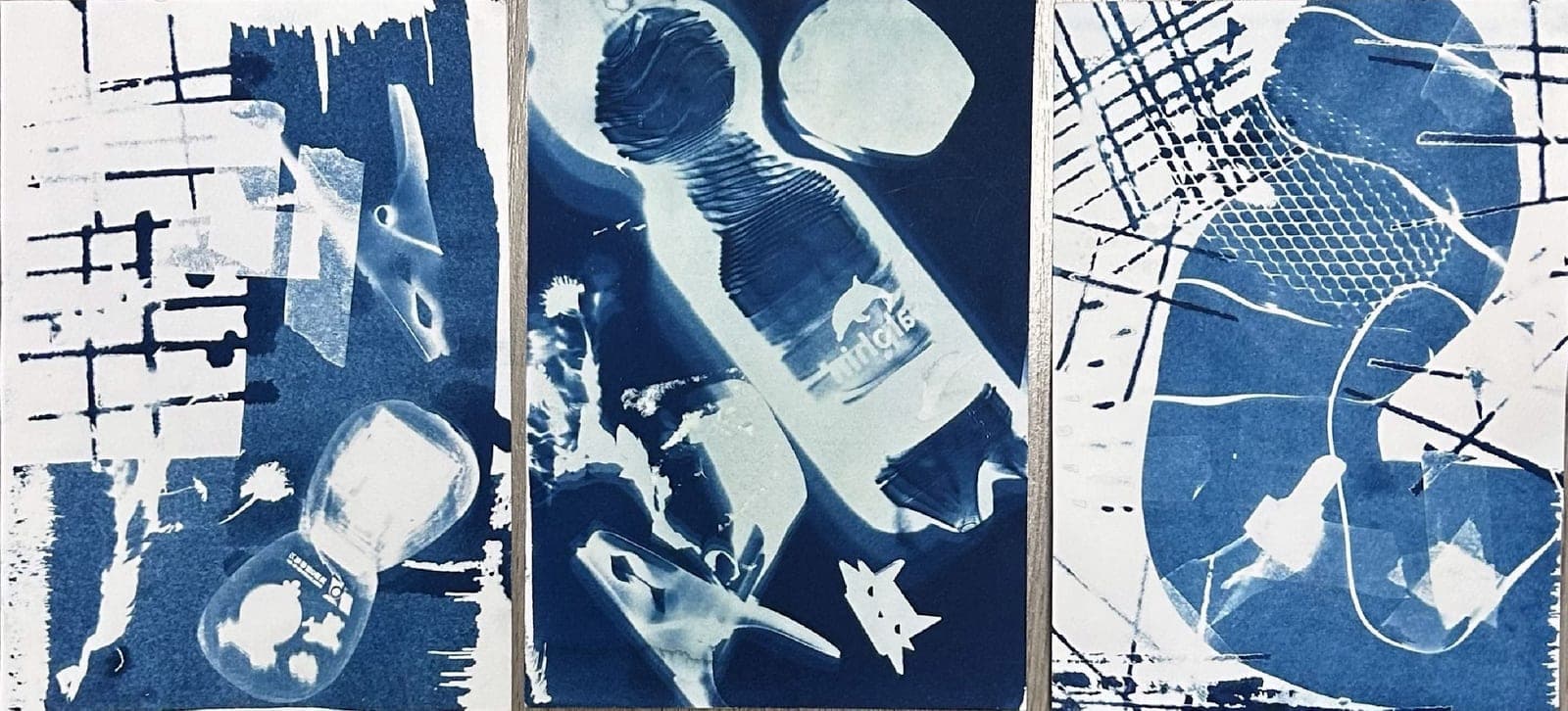 Cyanotype triptych