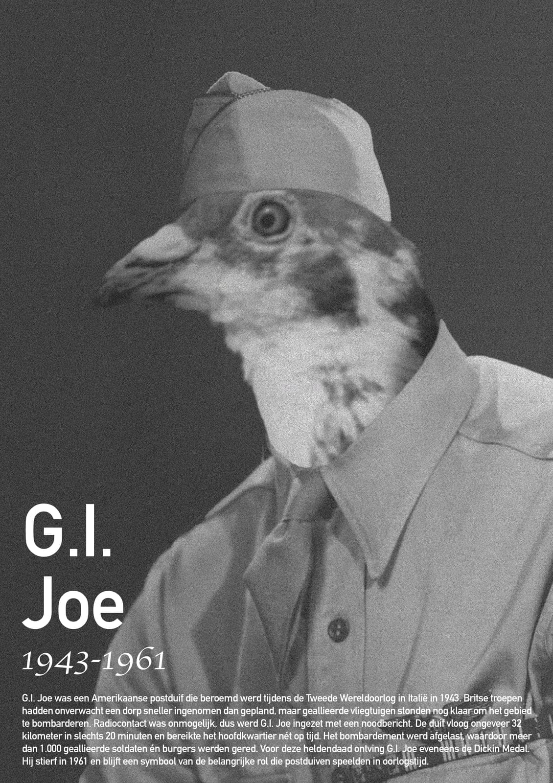 G.I. Joe messenger pigeon poster