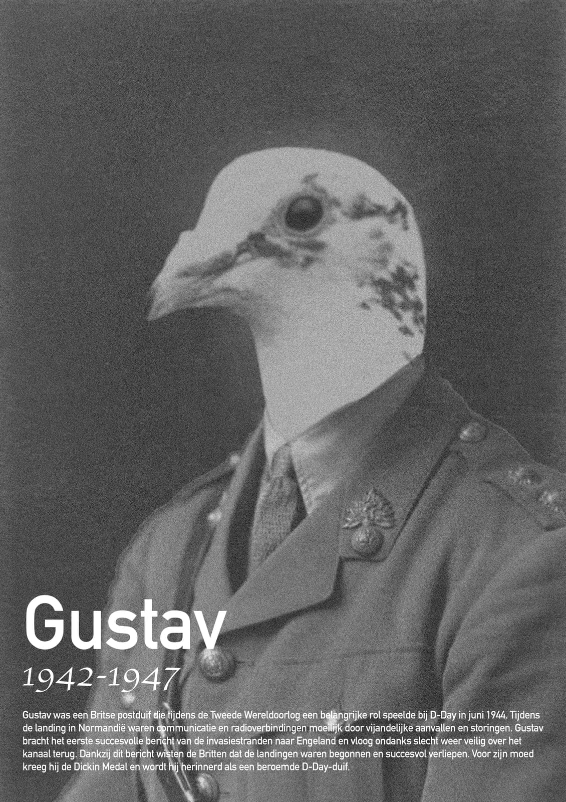 Gustav messenger pigeon poster