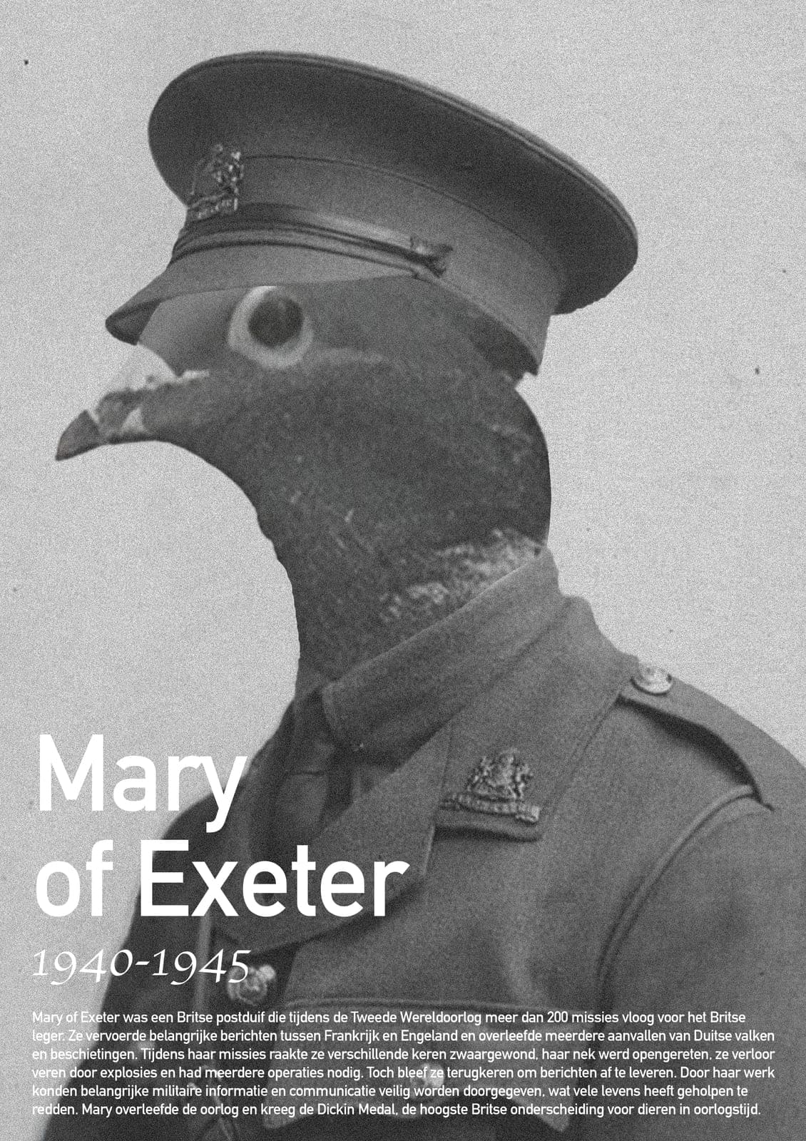 Mary of Exeter messenger pigeon poster