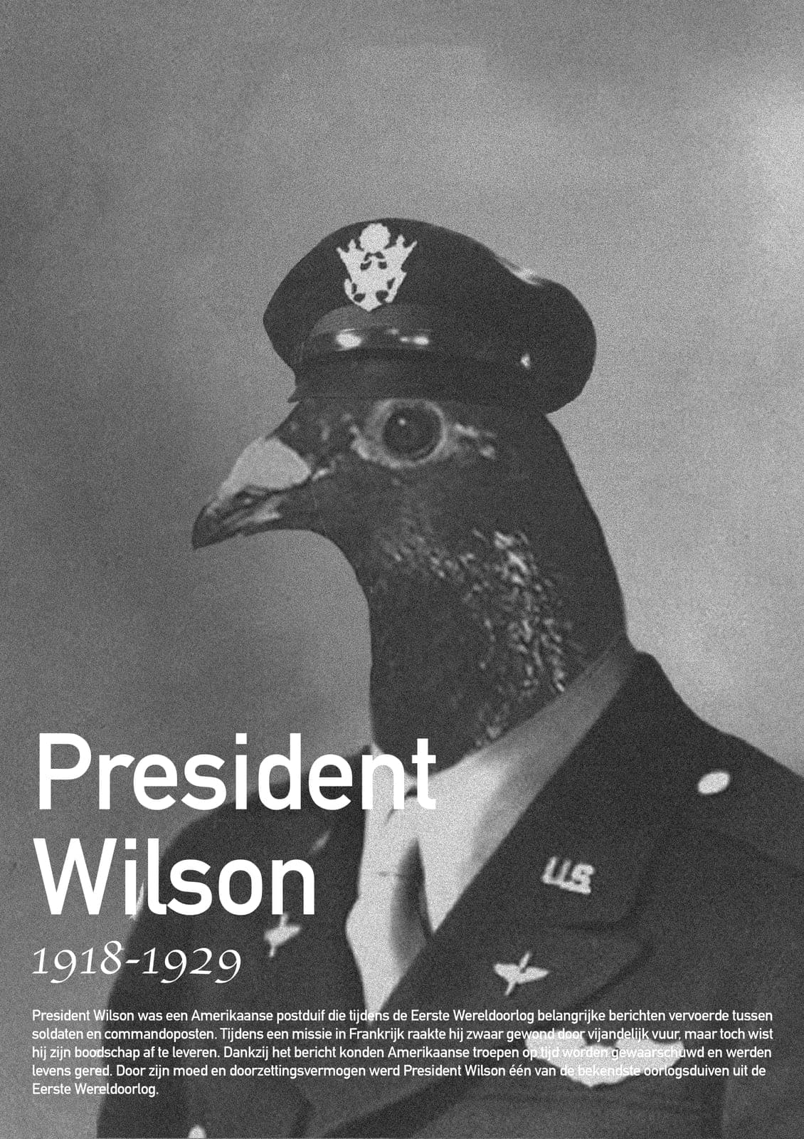 President Wilson messenger pigeon poster